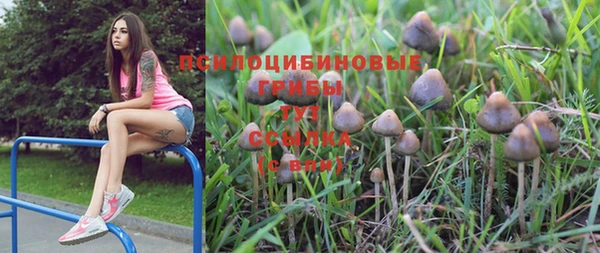 кокаин Бородино