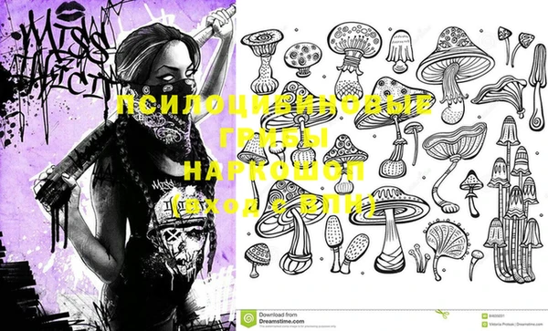 кокаин Бородино