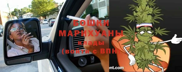 молекула духа Бугульма
