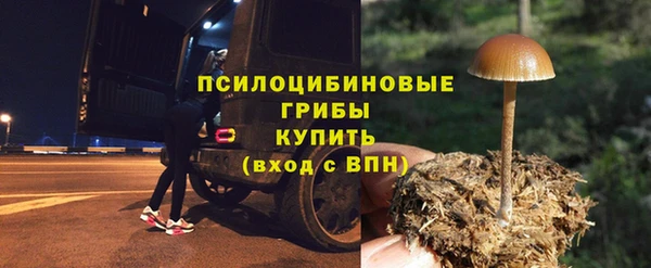 молекула духа Бугульма